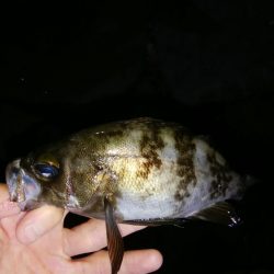 立ち位置で天国と地獄